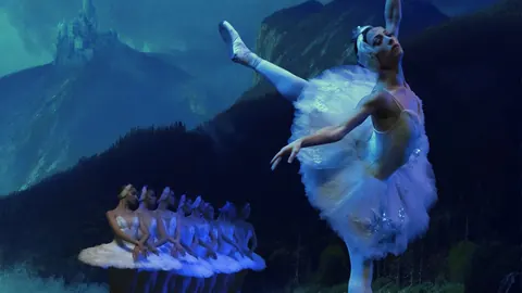 Cartel de EL LAGO DE LOS CISNES
