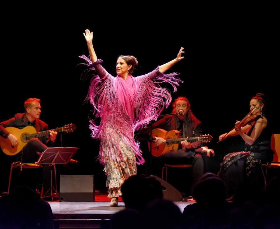 Cartel de NOCHE FLAMENCO